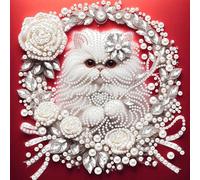 Kit de pintura de diamantes 5D parcial en forma especial para adultos, regalo de arte de pared, 30 x 30 cm