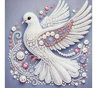 Kit de pintura de diamantes 5D parcial en forma especial para adultos, regalo de arte de pared, 30 x 30 cm