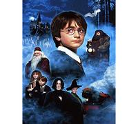Kit de pintura de diamantes 5D Wizard para adultos y niños, arte de diamantes de castillo DIY, punto de cruz de Hedwig con taladro completo con herramientas y accesorios