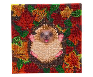 Kit de pintura de diamantes Crystal Art Erizo de otoño 30 x 30 cm