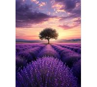 Kit de Pintura de Diamantes para Adultos, 5D Diamond Painting Lavanda, Pintura Diamantes de Imitación de Cristal Artes, DIY Punto de Cruz Diamond Painting para Decoración Hogar (Sueño, 30x40cm) F-0