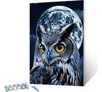 Kit de Pintura por Números para Adultos y Niños al óleo de Lienzo DIY, con Pinceles, Pintura de Dibujo DIY Búho, Tierra Con pintura y pincel - Regalos y decoraciones para colorear 30x40cm Con Marco