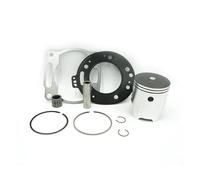 Kit De Pistón Kit Cilindro Junta Anillo Pistón Almohadilla Sellado Cojinete Motocicleta 66,8mm Para DT230 Para MT250 Accesorios Motor Para TSE250 Pistones(Piston Ring Kit)