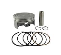 Kit de pistón y aro de pistón STD +25 +50 +100 para motocicleta YMH YBR250 XG250 T-ICKER YFM25R R-ptor 250 XT250 S-row YS250(Piston Kit (74mm))