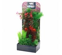 Kit de plantas para acuario - Hobby - Modelo: 3 - tres