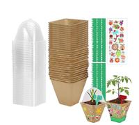 Kit de Plantas para Niños Juego Educativo De Jardinería