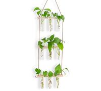 Kit de propagación hidropónica, 3 niveles, pared colgante de cristal con 7 tubos de ensayo, 3 clavos madera natural