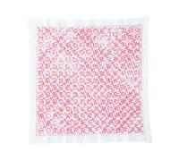 Kit de puntadas Hitomezashi Sashiko estampado por Olympus "Hana Fukin Rose Garde