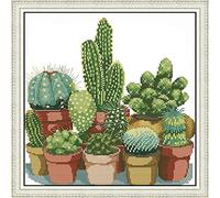 NANAD - Kit de punto de cruz con estampado de cactus en la botella para principiantes, niños o adultos, kits de punto de aguja de bordado (11 unidades)