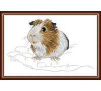 Kit de punto de cruz estampado, OWN4B cobaya, patrón impreso en la palma, 11 quilates, 37 x 23,9 cm, kit de bordado de bricolaje (cobaya)