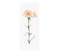 Kit de punto de cruz Thea Gouverneur Carnation Peach Aida o tela uniforme. Hermo