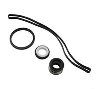 Kit de reconstrucción de bomba resistente para Hayward Superpump para maxflo, conjunto completo de sellado con juntas tóricas y sellos de eje