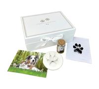 Kit de recuerdo para mascotas - Caja de memoria, impresión de huellas de arcilla, botella de recuerdo de piel, kit de almohadillas de tinta | Regalo para amantes de las mascotas | No tóxico, fácil de