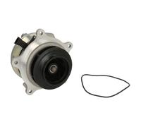 Kit de reparación, bomba de agua DOLZ DOLZ D324
