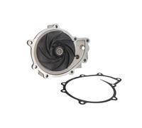 Kit de reparación, bomba de agua DT SPARE PARTS 3.16033