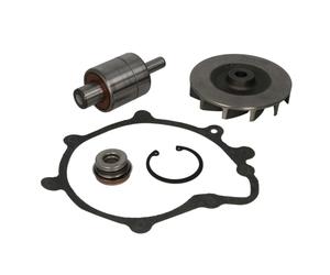 Kit de reparación, bomba de agua THERMOTEC WP-MN107RK