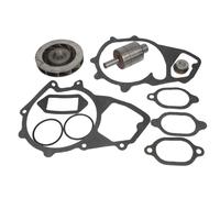 Kit de reparación, bomba de agua THERMOTEC WP-MN118RK