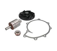 Kit de reparación, bomba de agua THERMOTEC WP-MN131RK