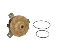 Kit de reparación, bomba de agua THERMOTEC WP-VL104