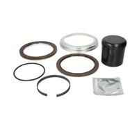 Kit de reparación, buje de rueda AUGER 70669