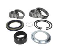 Kit de reparación, buje de rueda SKF VKBA 2450