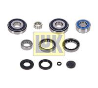 Kit de reparación, caja de cambios INA 462 0313 10