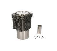 Kit de reparación, camisa de pistón/cilindro KOLBENSCHMIDT 90669960