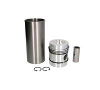 Kit de reparación, camisa de pistón/cilindro KOLBENSCHMIDT 91118962