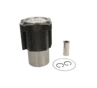 Kit de reparación, camisa de pistón/cilindro KOLBENSCHMIDT 92834961