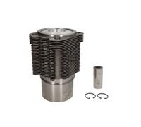 Kit de reparación, camisa de pistón/cilindro KOLBENSCHMIDT 93535960