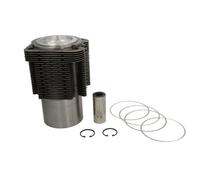 Kit de reparación, camisa de pistón/cilindro KOLBENSCHMIDT 99775960