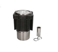 Kit de reparación, cilindro, camisa KOLBENSCHMIDT 93535961