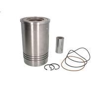 Kit de reparación, camisa de pistón/cilindro KOLBENSCHMIDT 41479960