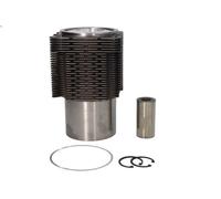 Kit de reparación, cilindro, camisa para P/PA-Haubenfahrzeuge 6.128 1989-1993