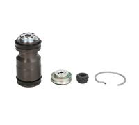 Kit de reparación, cilindro maestro de embrague VALEO 2500234