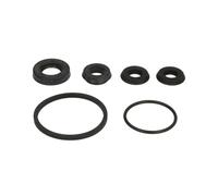 Kit de reparación, cilindro principal de freno AUTOFREN D1120