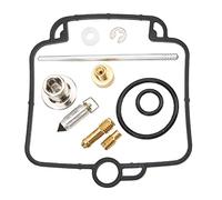 Kit de Reparación de Carburador, Kit de Reconstrucción de Carburador Profesional Kit de Reparación de Carburador con Tornillo de Varilla de Arandela de Junta para Polaris Sportsman 500 Ho 2003-2013