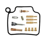 Kit De Reparación De Carburador para CB 250 Two Fifty para CB250 1991-1992 1998-2004. Incluye Piezas para El Diafragma del Flotador del Carburador. Kit De Reconstrucción De Carburador(Color 2)