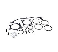 Kit de reparación de juntas tóricas Dual Vanos compatible para BMW E36 E39 E46 E53 E60 E83 E85 M52tu M54 M56
