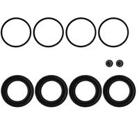 Kit de reparación, pinza de freno QUICK BRAKE 114-0213