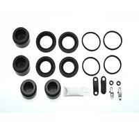 Kit de reparación, pinza de freno AUTOFREN SEINSA D4-2148C