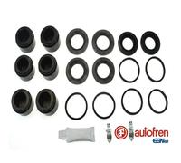 Kit de reparación, pinza de freno AUTOFREN SEINSA D4-2431C