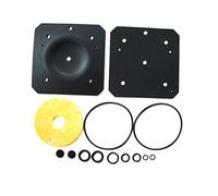 Kit de reparación de reductor de diafragma reductor de reemplazo de junta LPG Landi Renzo IG1/Li01 (4260) 4300