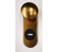 Kit de reparación de segmentos placa + pomo diámetro 65 mm de aluminio bronce F4 individual para puerta blindada Q8 agujero doble mapa 1 unidad