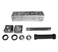 Kit de reparación del brazo de control Eje trasero Brazo oscilante oblicuo 40096