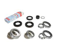 Kit de reparación, diferencial INA 462 0147 10