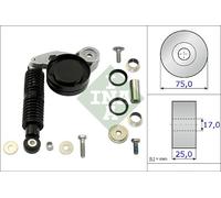 Kit De Reparación INA 533 0118 10, Tensor De Correa Viscosa Para Audi, Skoda, VW
