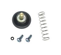 Kit de reparación Kit De Reconstrucción Carburador Para MOTOR ZZR250 EX250-H 1990-2007 EX 250 H. Reemplazo reconstrucción de carburador(Conjunto 9)