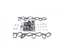Kit de reparación, módulo de tubo de aspiración 49SKV519 ESEN SKV para AUDI VW