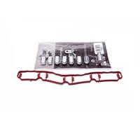 Kit de reparación, módulo de tubo de aspiración 49SKV521 ESEN SKV para VW SEAT